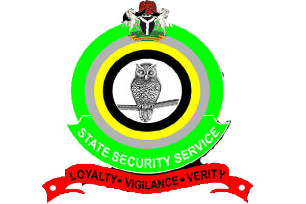 Photo of the DSS Logo