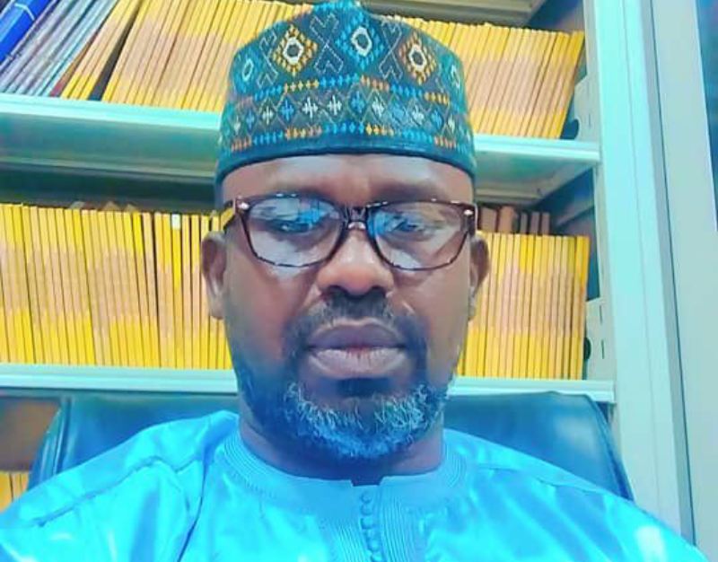 Professor Sheriff Ghali Ibrahim 