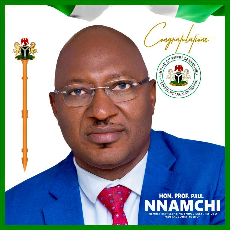Hon (Prof) Paul Nnamchi