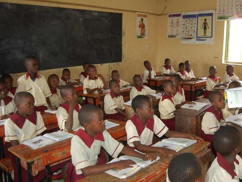 Pupils in a classroom