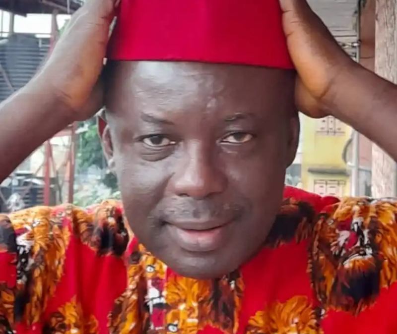 Sir Tony Awusaku Abor Mbaise LGA Party Chairman