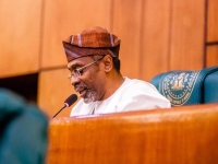 Rt. Hon. Femi Gbajabiamila.