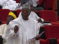 Senator Gobir