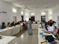 *  Some participants during the training session in Bauchi State.