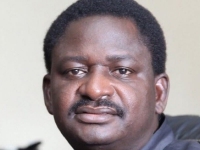 Femi Adesina